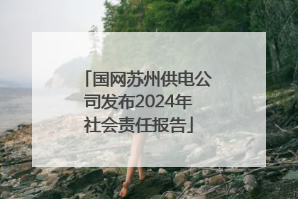 国网苏州供电公司发布2024年社会责任报告