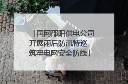 国网邵阳供电公司开展雨后防汛特巡 筑牢电网安全防线