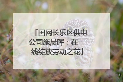 国网长乐区供电公司施晨晖：在一线绽放劳动之花