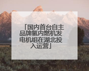 国内首台自主品牌氢内燃机发电机组在湖北投入运营