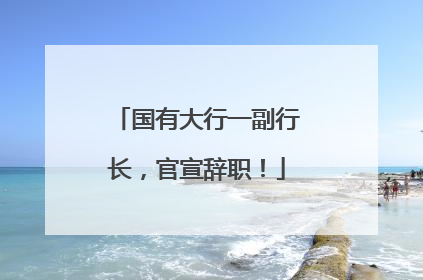 国有大行一副行长，官宣辞职！