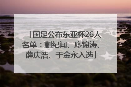 国足公布东亚杯26人名单：蒯纪闻、廖锦涛、薛庆浩、于金永入选