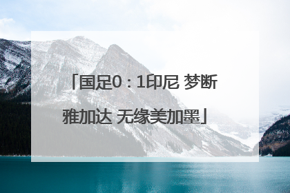 国足0∶1印尼 梦断雅加达 无缘美加墨