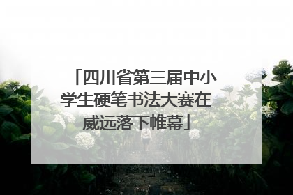 四川省第三届中小学生硬笔书法大赛在威远落下帷幕