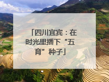 四川宜宾：在时光里播下“五育”种子