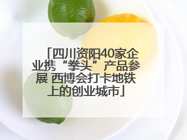 四川资阳40家企业携“拳头”产品参展 西博会打卡地铁上的创业城市