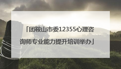 团鞍山市委12355心理咨询师专业能力提升培训举办