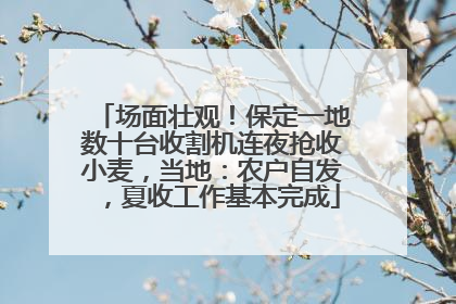 场面壮观！保定一地数十台收割机连夜抢收小麦，当地：农户自发，夏收工作基本完成