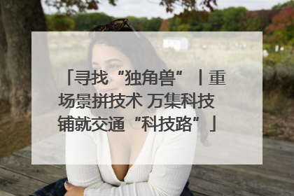 寻找“独角兽”丨重场景拼技术 万集科技铺就交通“科技路”