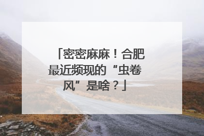 密密麻麻！合肥最近频现的“虫卷风”是啥？
