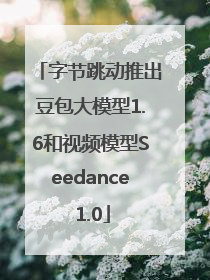 字节跳动推出豆包大模型1.6和视频模型Seedance 1.0