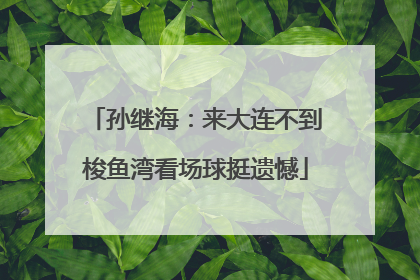 孙继海：来大连不到梭鱼湾看场球挺遗憾