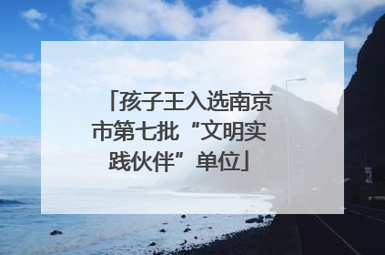 孩子王入选南京市第七批“文明实践伙伴”单位