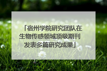 宿州学院研究团队在生物传感领域顶级期刊发表多篇研究成果