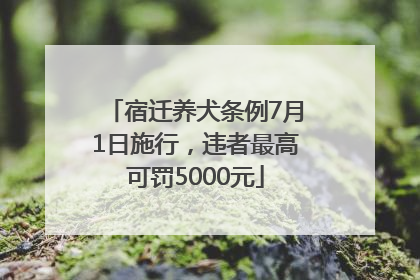 宿迁养犬条例7月1日施行，违者最高可罚5000元