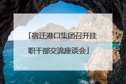 宿迁港口集团召开挂职干部交流座谈会