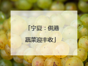 宁夏：供港蔬菜迎丰收