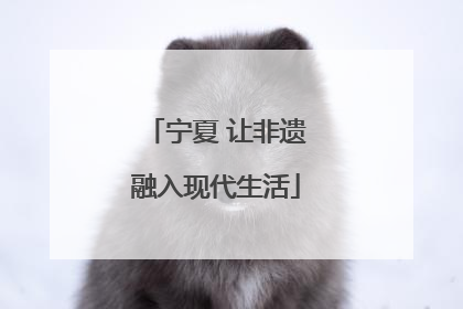 宁夏 让非遗融入现代生活
