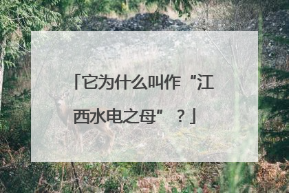 它为什么叫作“江西水电之母”？