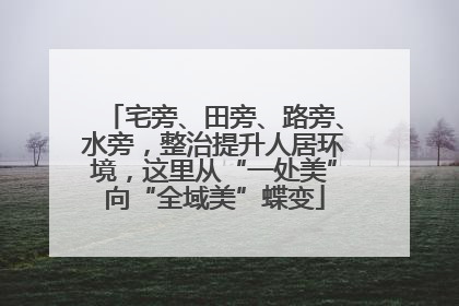 宅旁、田旁、路旁、水旁，整治提升人居环境，这里从“一处美”向“全域美”蝶变