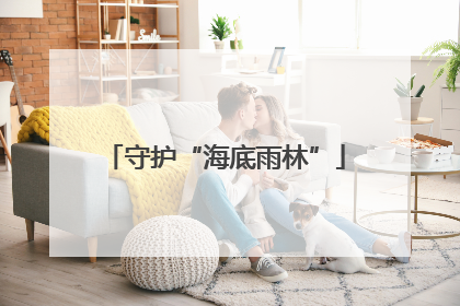 守护“海底雨林”