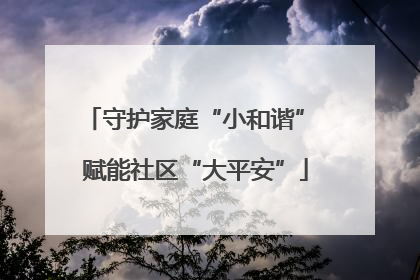 守护家庭“小和谐” 赋能社区“大平安”