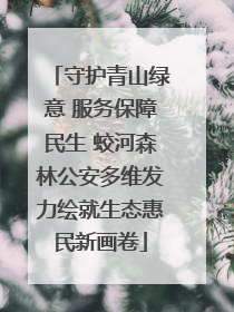 守护青山绿意 服务保障民生 蛟河森林公安多维发力绘就生态惠民新画卷