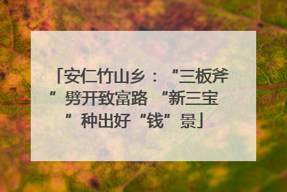 安仁竹山乡：“三板斧”劈开致富路 “新三宝”种出好“钱”景
