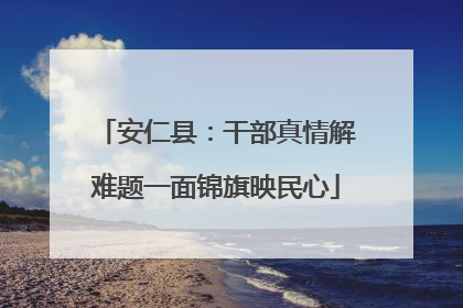 安仁县：干部真情解难题一面锦旗映民心