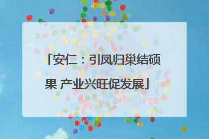 安仁：引凤归巢结硕果 产业兴旺促发展