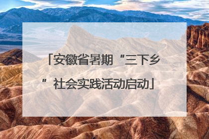 安徽省暑期“三下乡”社会实践活动启动