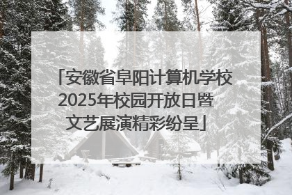 安徽省阜阳计算机学校2025年校园开放日暨文艺展演精彩纷呈