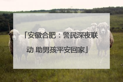 安徽合肥：警民深夜联动 助男孩平安回家