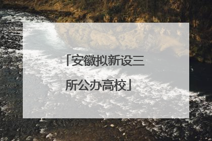 安徽拟新设三所公办高校