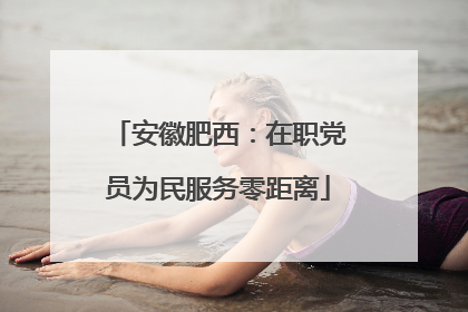 安徽肥西：在职党员为民服务零距离