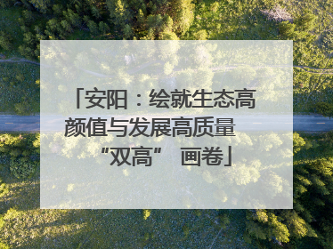 安阳：绘就生态高颜值与发展高质量 “双高” 画卷