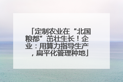 定制农业在“北国粮都”茁壮生长！企业：用算力指导生产，扁平化管理种地