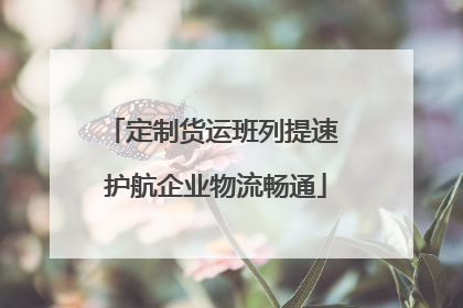 定制货运班列提速 护航企业物流畅通