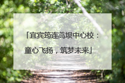 宜宾筠连蒿坝中心校：童心飞扬，筑梦未来