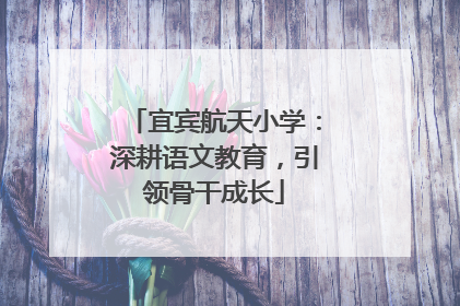宜宾航天小学：深耕语文教育，引领骨干成长