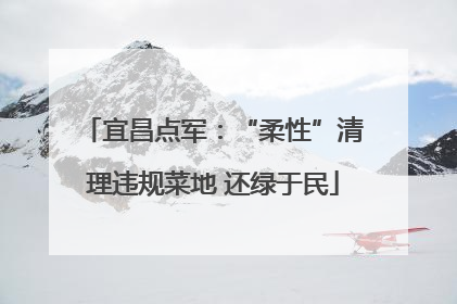 宜昌点军：“柔性”清理违规菜地 还绿于民