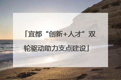 宜都“创新+人才”双轮驱动助力支点建设