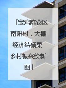 宝鸡陈仓区南阳村：大棚经济结硕果 乡村振兴绘新图