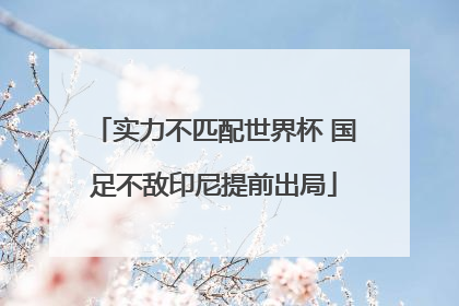 实力不匹配世界杯 国足不敌印尼提前出局