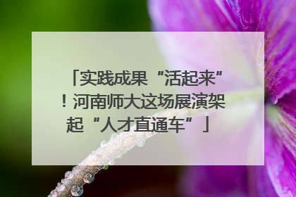 实践成果“活起来”！河南师大这场展演架起“人才直通车”