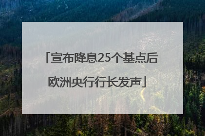宣布降息25个基点后 欧洲央行行长发声