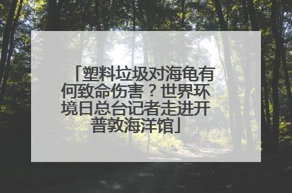 塑料垃圾对海龟有何致命伤害？世界环境日总台记者走进开普敦海洋馆