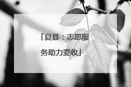夏县：志愿服务助力麦收