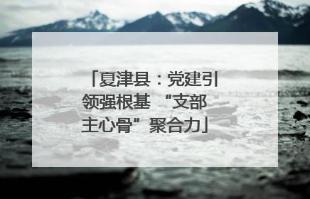 夏津县：党建引领强根基 “支部主心骨”聚合力