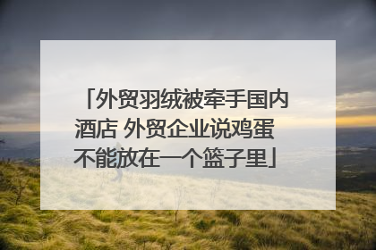 外贸羽绒被牵手国内酒店 外贸企业说鸡蛋不能放在一个篮子里